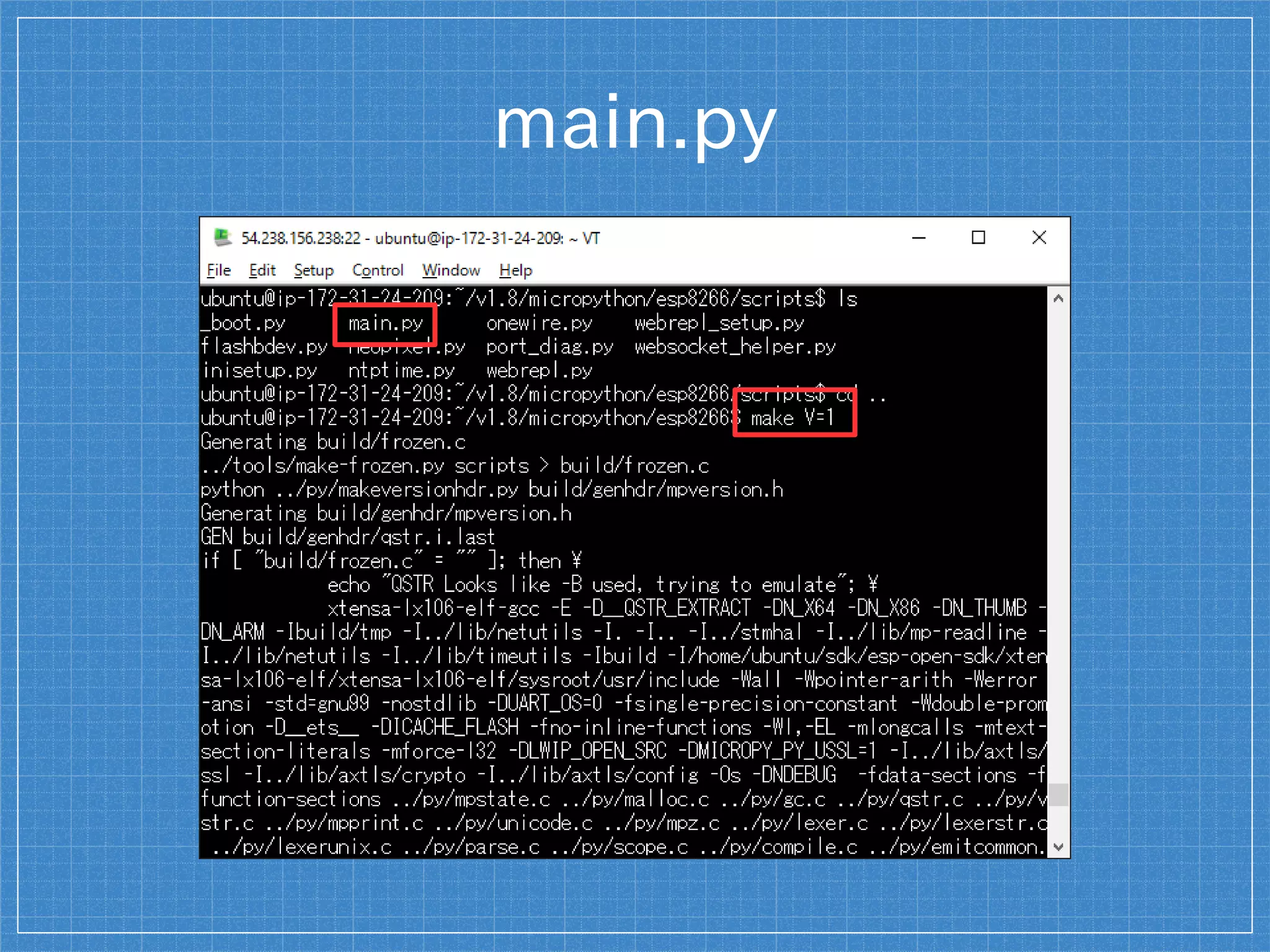 main.py
 