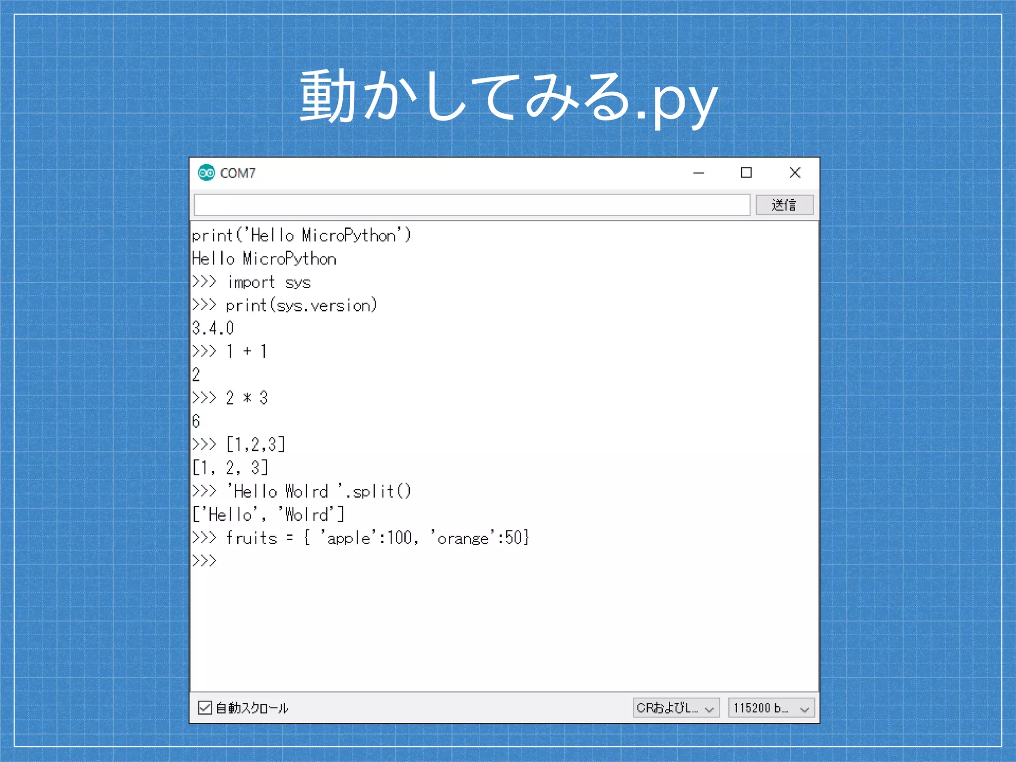 動かしてみる.py
 