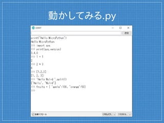 動かしてみる.py
 