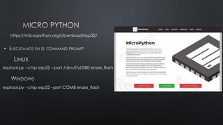 Micro Python.pdf