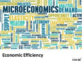 Economic Efficiency
 
