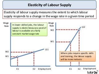 Elasticity of Labour Supply
Elasticity of labour supply measures the extent to which labour
supply responds to a change in the wage rate in a given time period
Wage
Rate
Employment
LS1
W1
W2
E1 E2
Wage
Rate
Employment
LS2
W1
W2
E1 E2
In lower-skilled jobs, the labour
supply is elastic because a pool of
labour is available at a fairly
constant market wage rate
Where jobs require specific skills
and training, the labour supply
will be more inelastic
 