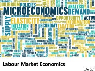 Labour Market Economics
 
