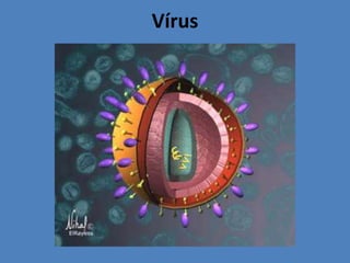Fungos.MicrorganismosVírus;