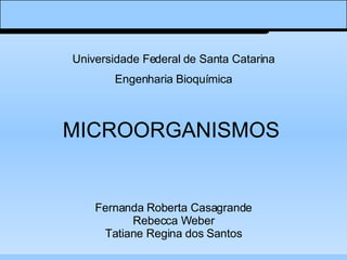 MICROORGANISMOS Fernanda Roberta Casagrande Rebecca Weber Tatiane Regina dos Santos Universidade Federal de Santa Catarina Engenharia Bioquímica 