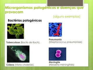 Microrganismos patogénicos e doenças que
provocam
(alguns exemplos)
Pneumonia
(Streptococcus pneumoniae)
Meningite
(Neisseria meningitidis)
Bactérias patogénicas
Tuberculose (Bacilo de Koch),
Cólera (Víbrio cholerae),
 