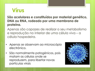 Vírus
São acelulares e constituídos por material genético,
DNA ou RNA, rodeado por uma membrana de
proteína.
Apenas são capazes de realizar o seu metabolismo
e reprodução no interior de uma célula viva – a
célula hospedeira.
• Apenas se observam ao microscópio
electrónico.
• São normalmente patogénicos, pois
matam as células onde se
reproduzem, para libertar novas
partículas virais
 