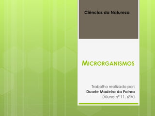 MICRORGANISMOS
Trabalho realizado por:
Duarte Madeira da Palma
(Aluno nº 11, 6ºA)
Ciências da Natureza
 
