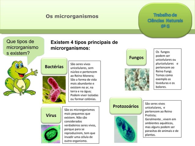 Microrganismos