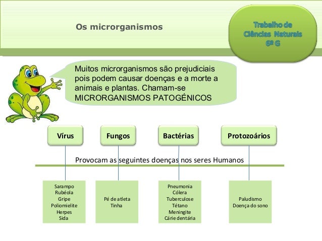 Fungo em pregos e álcool