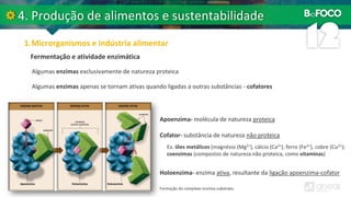 Fermentação e atividade enzimática
Algumas enzimas exclusivamente de natureza proteica
Formação do complexo enzima-substrato.
Algumas enzimas apenas se tornam ativas quando ligadas a outras substâncias - cofatores
Apoenzima- molécula de natureza proteica
Cofator- substância de natureza não proteica
Holoenzima- enzima ativa, resultante da ligação apoenzima-cofator
Ex. iões metálicos (magnésio (Mg2+), cálcio (Ca2+), ferro (Fe2+), cobre (Cu2+);
coenzimas (compostos de natureza não proteica, como vitaminas)
 