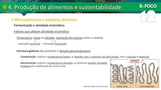 Fatores que afetam atividade enzimática
Fermentação e atividade enzimática
Temperatura: baixa ou elevada, inativação de enzimas como a catalase
Inativação reversível Inativação irreversível
Estrutura globular das proteínas é afetada pela temperatura
Desnaturação: sujeitas a temperaturas elevadas, as proteínas perdem atividade
biológica por modificação do centro ativo
Compactação: sujeitas a temperaturas baixas, as ligações com o substrato são dificultadas, mas a situação é reversível
Desnaturação de uma enzima.
 