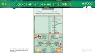 Via metabólica de degradação da glicose
(glicólise) e formação de produtos de
fermentação.
 