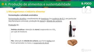 Fermentação alcoólica: envolvimento de leveduras (na ausência de O2), em particular
Saccharomyces cerevisae, produção de etanol e dióxido de carbono
Fermentação e atividade enzimática
Produção de:
Bebidas alcoólicas- obtenção do etanol, evaporando-se o CO2,
por ação de leveduras
Pão- obtenção do dióxido de carbono, que forma bolhas que
ficam aprisionadas na massa, e evaporação do álcool
 