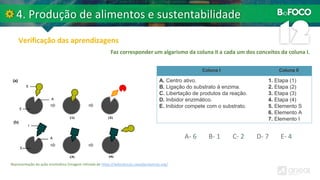 Faz corresponder um algarismo da coluna II a cada um dos conceitos da coluna I.
A- 6 B- 1 C- 2 D- 7 E- 4
Coluna I Coluna II
A. Centro ativo.
B. Ligação do substrato à enzima.
C. Libertação de produtos da reação.
D. Inibidor enzimático.
E. Inibidor compete com o substrato.
1. Etapa (1)
2. Etapa (2)
3. Etapa (3)
4. Etapa (4)
5. Elemento S
6. Elemento A
7. Elemento I
Representação da ação enzimática (imagem retirada de https://wikiciencias.casadasciencias.org/
 