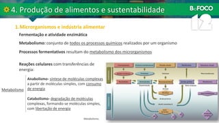 Fermentação e atividade enzimática
Metabolismo: conjunto de todos os processos químicos realizados por um organismo
Processos fermentativos resultam do metabolismo dos microrganismos
Reações celulares com transferências de
energia:
Metabolismo.
Anabolismo- síntese de moléculas complexas
a partir de moléculas simples, com consumo
de energia
Catabolismo- degradação de moléculas
complexas, formando-se moléculas simples,
com libertação de energia
Metabolismo
 