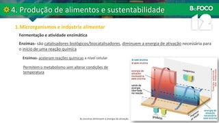 Fermentação e atividade enzimática
Enzimas- são catalisadores biológicos/biocatalisadores, diminuem a energia de ativação necessária para
o início de uma reação química
Enzimas- aceleram reações químicas a nível celular
Permitem o metabolismo sem alterar condições de
temperatura
As enzimas diminuem a energia de ativação.
 