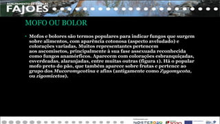 MOFO OU BOLOR
• Mofos e bolores são termos populares para indicar fungos que surgem
sobre alimentos, com aparência cotonosa (aspecto aveludado) e
colorações variadas. Muitos representantes pertencem
aos ascomisetos, principalmente à sua fase assexuada reconhecida
como fungos anamórficos. Aparecem com colorações esbranquiçadas,
esverdeadas, alaranjadas, entre muitas outras (figura 1). Há o popular
mofo preto do pão, que também aparece sobre frutas e pertence ao
grupo dos Mucoromycotina e afins (antigamente como Zygomycota,
ou zigomicetos).
 
