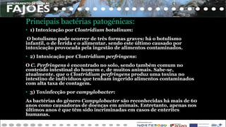Principais bactérias patogénicas:
• 1) Intoxicação por Clostridium botulinum:
O botulismo pode ocorrer de três formas graves: há o botulismo
infantil, o de ferida e o alimentar, sendo este último causado por
intoxicação provocada pela ingestão de alimentos contaminados.
• 2) Intoxicação por Clostridium perfringens:
O C. Perfringens é encontrado no solo, sendo também comum no
conteúdo intestinal do homem e, de muitos animais. Sabe-se,
atualmente, que o Clostridium perfringens produz uma toxina no
intestino de indivíduos que tenham ingerido alimentos contaminados
com alta taxa de contagem.
• 3) Toxinfecção por campylobacter:
As bactérias do gênero Campylobacter são reconhecidas há mais de 60
anos como causadoras de doenças em animais. Entretanto, apenas nos
últimos anos é que têm sido incriminadas em casos de enterites
humanas.
 