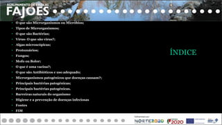 ÍNDICE
• O que são Microrganismos ou Micróbios;
• Tipos de Microrganismos;
• O que são Bactérias;
• Vírus- O que são vírus?;
• Algas microscópicas;
• Protozoários;
• Fungos;
• Mofo ou Bolor;
• O que é uma vacina?;
• O que são Antibióticos e uso adequado;
• Microrganismos patogénicos que doenças causam?;
• Principais bactérias patogénicas;
• Principais bactérias patogénicas.
• Barreiras naturais do organismo
• Higiene e a prevenção de doenças infeciosas
• Fontes
• FIM
 