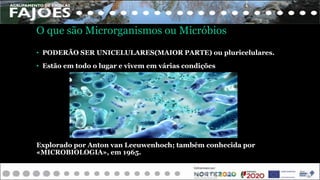 O que são Microrganismos ou Micróbios
• PODERÃO SER UNICELULARES(MAIOR PARTE) ou pluricelulares.
• Estão em todo o lugar e vivem em várias condições
Explorado por Anton van Leeuwenhoch; também conhecida por
«MICROBIOLOGIA», em 1965.
 