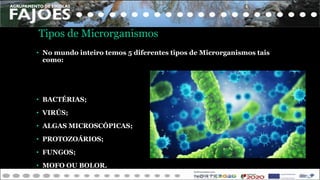 Tipos de Microrganismos
• No mundo inteiro temos 5 diferentes tipos de Microrganismos tais
como:
• BACTÉRIAS;
• VIRÚS;
• ALGAS MICROSCÓPICAS;
• PROTOZOÁRIOS;
• FUNGOS;
• MOFO OU BOLOR.
 