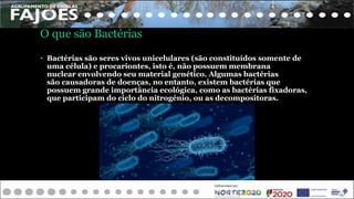 O que são Bactérias
• Bactérias são seres vivos unicelulares (são constituídos somente de
uma célula) e procariontes, isto é, não possuem membrana
nuclear envolvendo seu material genético. Algumas bactérias
são causadoras de doenças, no entanto, existem bactérias que
possuem grande importância ecológica, como as bactérias fixadoras,
que participam do ciclo do nitrogénio, ou as decompositoras.
 
