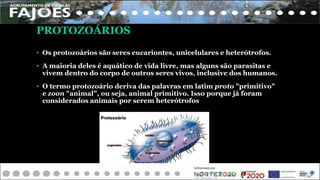 PROTOZOÁRIOS
• Os protozoários são seres eucariontes, unicelulares e heterótrofos.
• A maioria deles é aquático de vida livre, mas alguns são parasitas e
vivem dentro do corpo de outros seres vivos, inclusive dos humanos.
• O termo protozoário deriva das palavras em latim proto "primitivo"
e zoon "animal", ou seja, animal primitivo. Isso porque já foram
considerados animais por serem heterótrofos
 