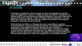FUNGOS
• Os fungos constituem o Reino Fungi, no qual se enquadram espécies
como os cogumelos, bolores, orelhas-de-pau e leveduras. Apesar de sua
forma séssil e sua aparência com algumas plantas, esses seres diferem-se
bastante do Reino vegetal. Todos os fungos são heterotróficos, ou seja,
diferentemente das plantas, não são capazes de produzir seu próprio
alimento, nutrindo-se por absorção.
• Além de heterotróficos, os fungos são seres eucarióticos e podem
ser unicelulares, como no caso das leveduras, ou multicelulares, como os
cogumelos. Esses últimos formam filamentos que recebem a
denominação de hifas. O conjunto de hifas forma o micélio, que pode
crescer até um quilômetro em 24 horas. Em algumas espécies, as hifas
podem formar estruturas especiais chamadas de corpos de frutificação.
Esses corpos podem ser vistos nos cogumelos e nas orelhas-de-pau.
•
 