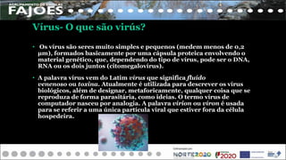 Microrganismos_João Couto_6º CF.pptx