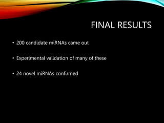 FINAL RESULTS
• 200 candidate miRNAs came out
• Experimental validation of many of these
• 24 novel miRNAs confirmed
 