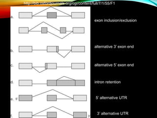 http://bib.oxfordjournals.org/cgi/content/full/7/1/55/F1
exon inclusion/exclusion
alternative 3’ exon end
alternative 5’ exon end
intron retention
5’ alternative UTR
3’ alternative UTR
 