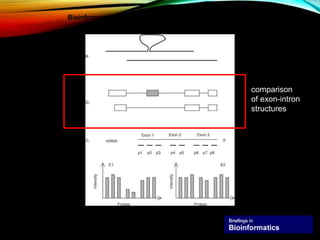 Copyright restrictions may apply.
Florea, L. Brief Bioinform 2006 7:55-69; doi:10.1093/bib/bbk005
Bioinformatics methods for identifying alternative splicing
comparison
of exon-intron
structures
 