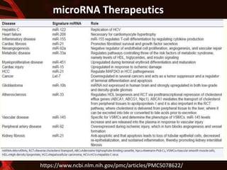 microRNA Therapeutics
https://www.ncbi.nlm.nih.gov/pmc/articles/PMC5078622/
 