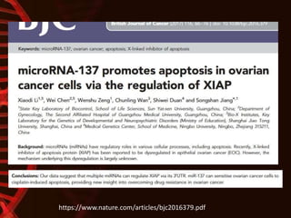 Using Zebra fish
https://www.nature.com/articles/bjc2016379.pdf
 