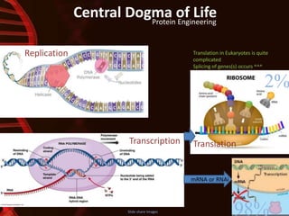 Central Dogma of Life
Slide share Images
Replication
Transcription Translation
Translation in Eukaryotes is quite
complicated
Splicing of genes(s) occurs ^^^
Protein Engineering
2%
98%
mRNA or RNAi
 