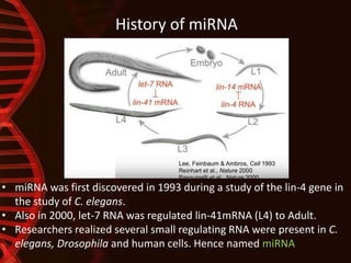 History of miRNA
• miRNA was first discovered in 1993 during a study of the lin-4 gene in
the study of C. elegans.
• Also in 2000, let-7 RNA was regulated lin-41mRNA (L4) to Adult.
• Researchers realized several small regulating RNA were present in C.
elegans, Drosophila and human cells. Hence named miRNA
 