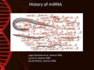 History of miRNA
Lagos-Quintana et al., Science 2001
Lau et al., Science 2001
Lee & Ambros., Science 2001
 