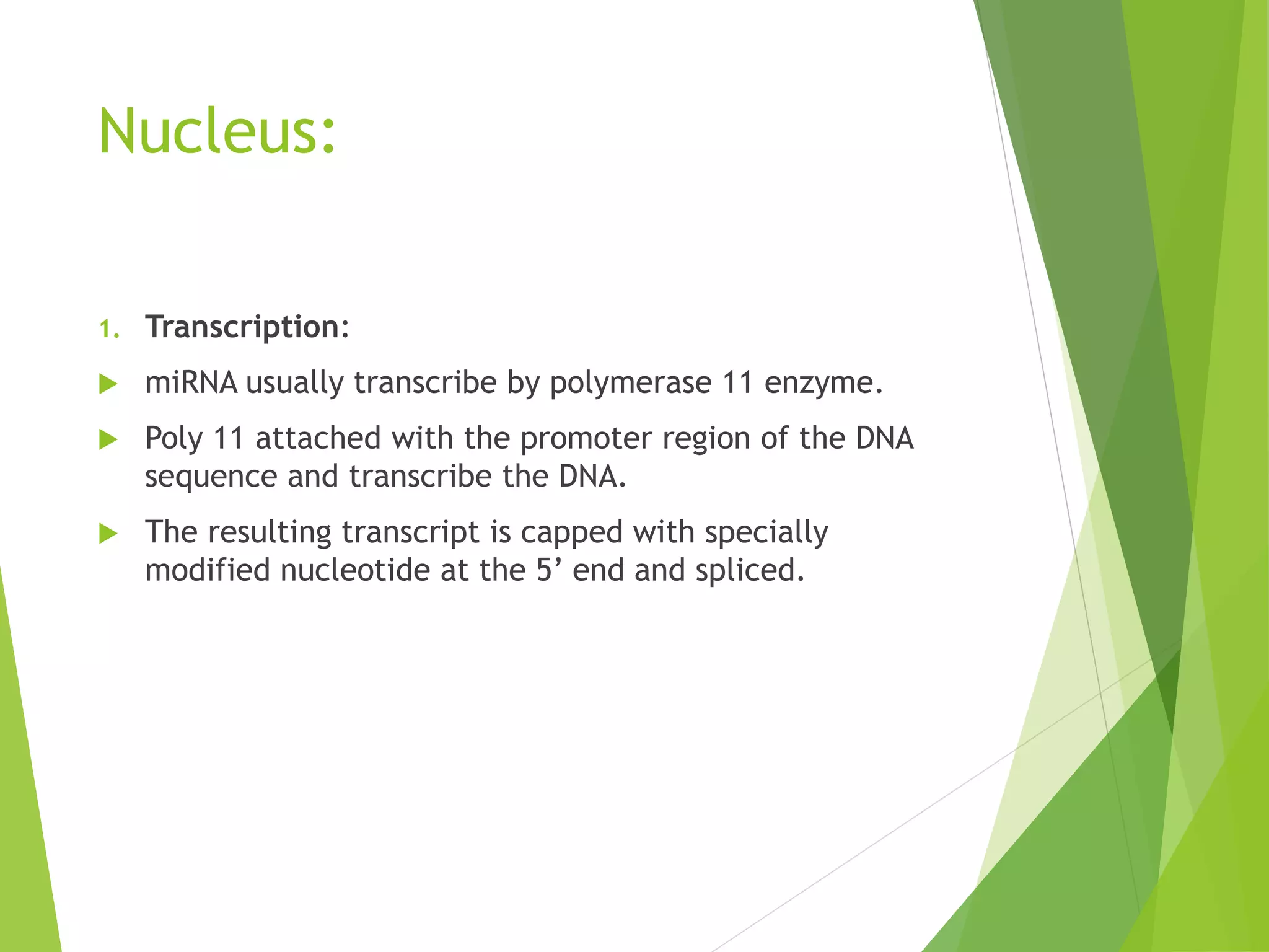 MicroRNA and thier role in gene regulation | PPTX