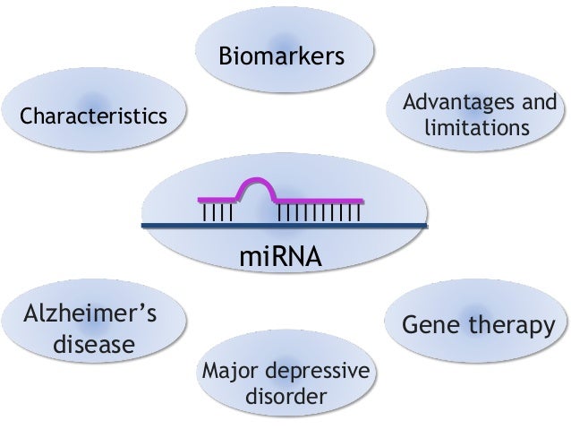 a response to modregos article on materialistic approach to alzheimers disease and depression Dementia education for caregivers alzheimer’s disease, vascular dementia meaning and response is important a person with dementia perceives their. a response to modregos article on materialistic approach to alzheimers disease and depression Dementia education for caregivers alzheimer’s disease, vascular dementia meaning and response is important a person with dementia perceives their.