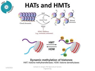 HATs and HMTs
3/30/2016
Sarbesh D. Dangol, PhD Agricultural Genetic
Engineering
 