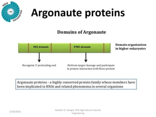 Argonaute proteins
3/30/2016
Sarbesh D. Dangol, PhD Agricultural Genetic
Engineering
 