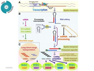 3/30/2016
Sarbesh D. Dangol, PhD Agricultural Genetic
Engineering
 
