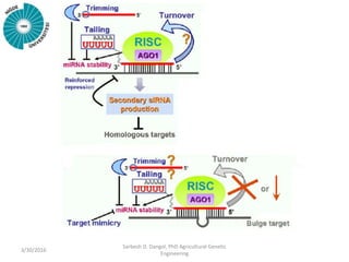 3/30/2016
Sarbesh D. Dangol, PhD Agricultural Genetic
Engineering
 