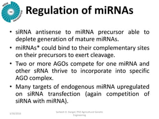 Regulation of miRNAs
• siRNA antisense to miRNA precursor able to
deplete generation of mature miRNAs.
• miRNAs* could bind to their complementary sites
on their precursors to exert cleavage.
• Two or more AGOs compete for one miRNA and
other sRNA thrive to incorporate into specific
AGO complex.
• Many targets of endogenous miRNA upregulated
on siRNA transfection (again competition of
siRNA with miRNA).
3/30/2016
Sarbesh D. Dangol, PhD Agricultural Genetic
Engineering
 