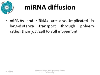 miRNA diffusion
• miRNAs and siRNAs are also implicated in
long-distance transport through phloem
rather than just cell to cell movement.
3/30/2016
Sarbesh D. Dangol, PhD Agricultural Genetic
Engineering
 