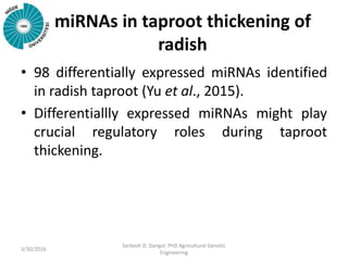 miRNAs in taproot thickening of
radish
• 98 differentially expressed miRNAs identified
in radish taproot (Yu et al., 2015).
• Differentiallly expressed miRNAs might play
crucial regulatory roles during taproot
thickening.
3/30/2016
Sarbesh D. Dangol, PhD Agricultural Genetic
Engineering
 