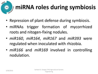 miRNA roles during symbiosis
• Repression of plant defense during symbiosis.
• miRNAs trigger formation of mycorrhized
roots and nitogen-fixing nodules.
• miR160, miR164, miR167 and miR393 were
regulated when inoculated with rhizobia.
• miR166 and miR169 involved in controlling
nodulation.
3/30/2016
Sarbesh D. Dangol, PhD Agricultural Genetic
Engineering
 