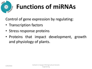 Functions of miRNAs
Control of gene expression by regulating:
• Transcription factors
• Stress response proteins
• Proteins that impact development, growth
and physiology of plants.
3/30/2016
Sarbesh D. Dangol, PhD Agricultural Genetic
Engineering
 