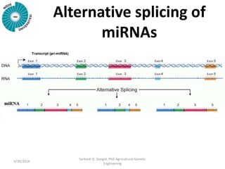 Alternative splicing of
miRNAs
3/30/2016
Sarbesh D. Dangol, PhD Agricultural Genetic
Engineering
 